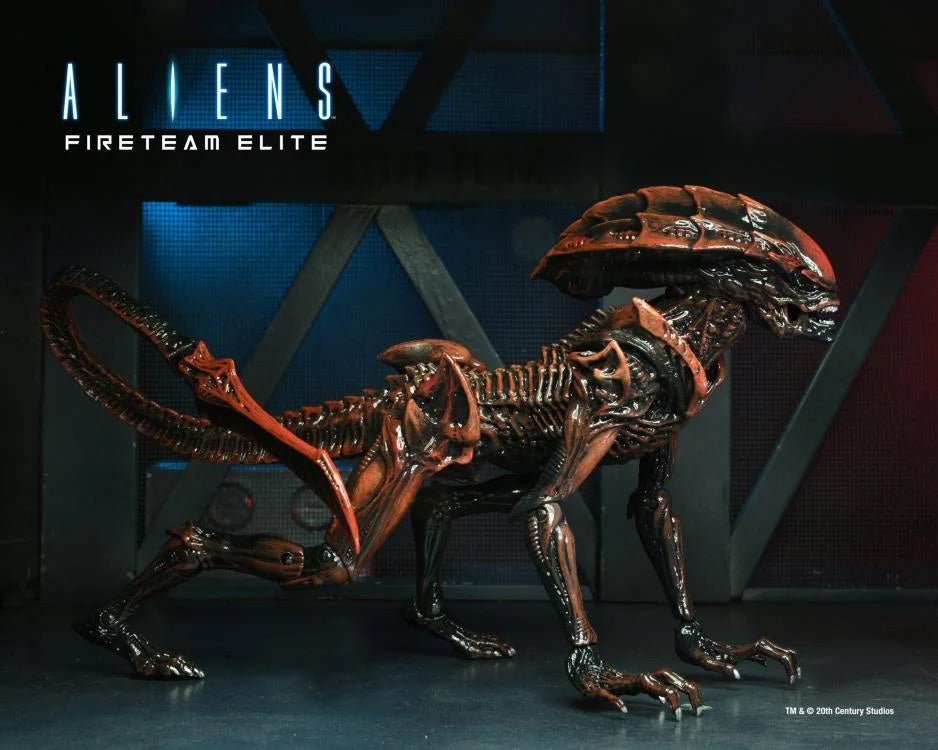 NECA: Fireteam Elite - PROWLER Alien 9" Tall Action Figure